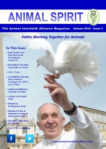 Animal Spirit front page