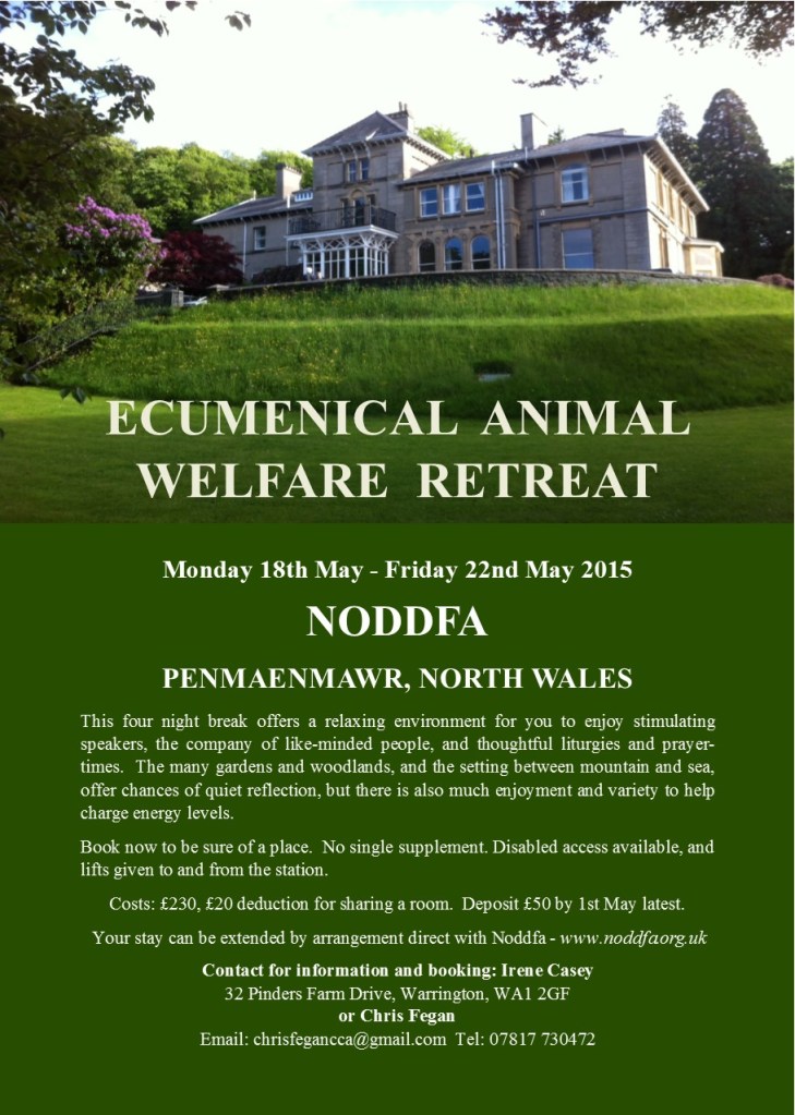 Spring 2015 229 Pictures A5 - Image 2