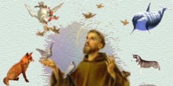 Petition -Catholic Church