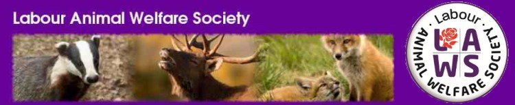 cropped-laws-header-banner-04