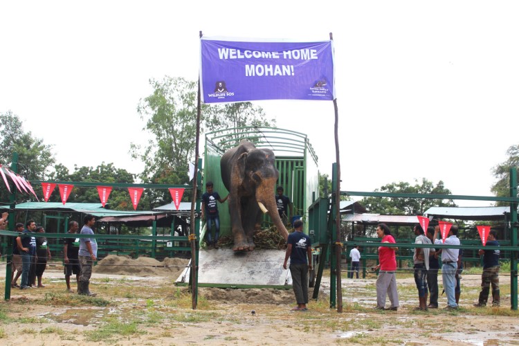 mohan-after-rescue-coming-out-of-the-truck