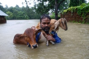 Nepal floods