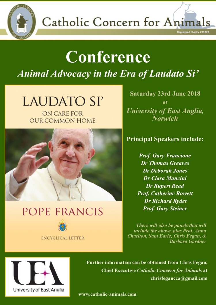 Flyer for CCA UEA Conference 2018