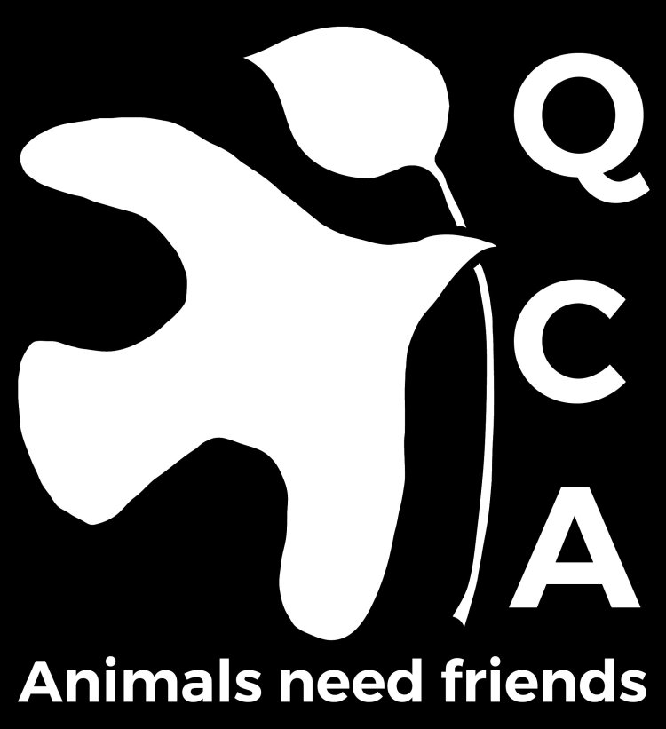 QCA Dove - tagline-01