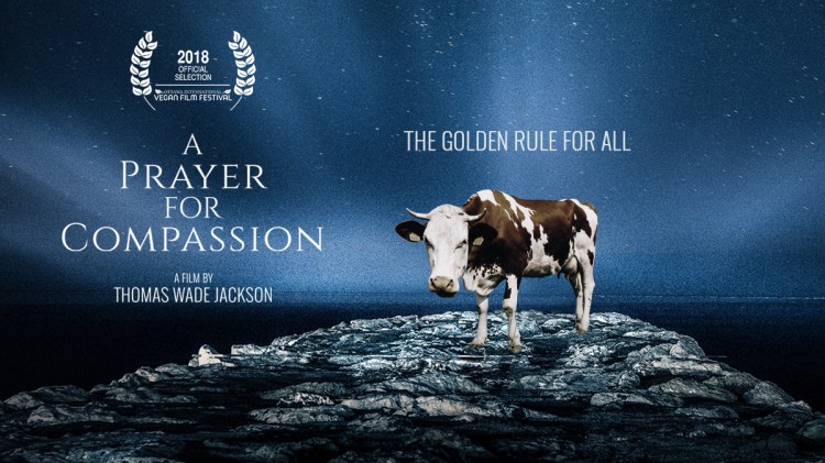 A Prayer for Compassion