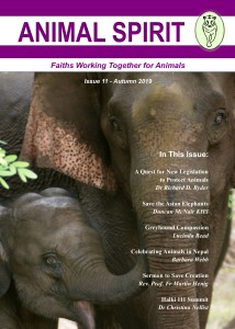 Issue 11 front cover