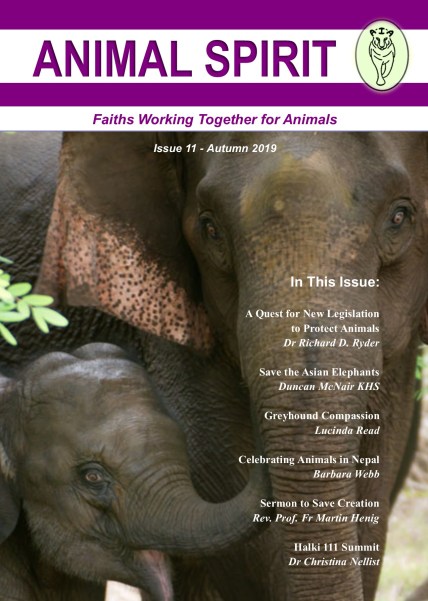 Issue 11 front cover