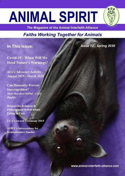 Issue 12 front cover