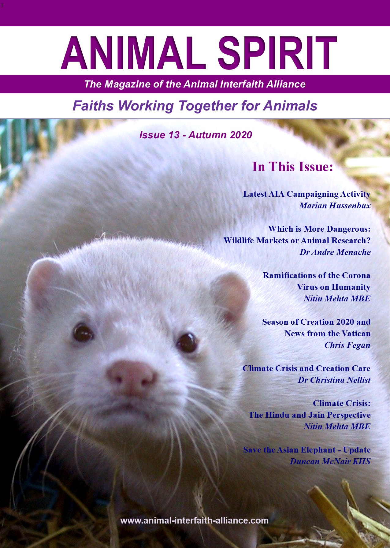 Issue 13 front cover